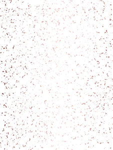 Egypt Rose Gold Sprinkles Random Chunks Rectangle
